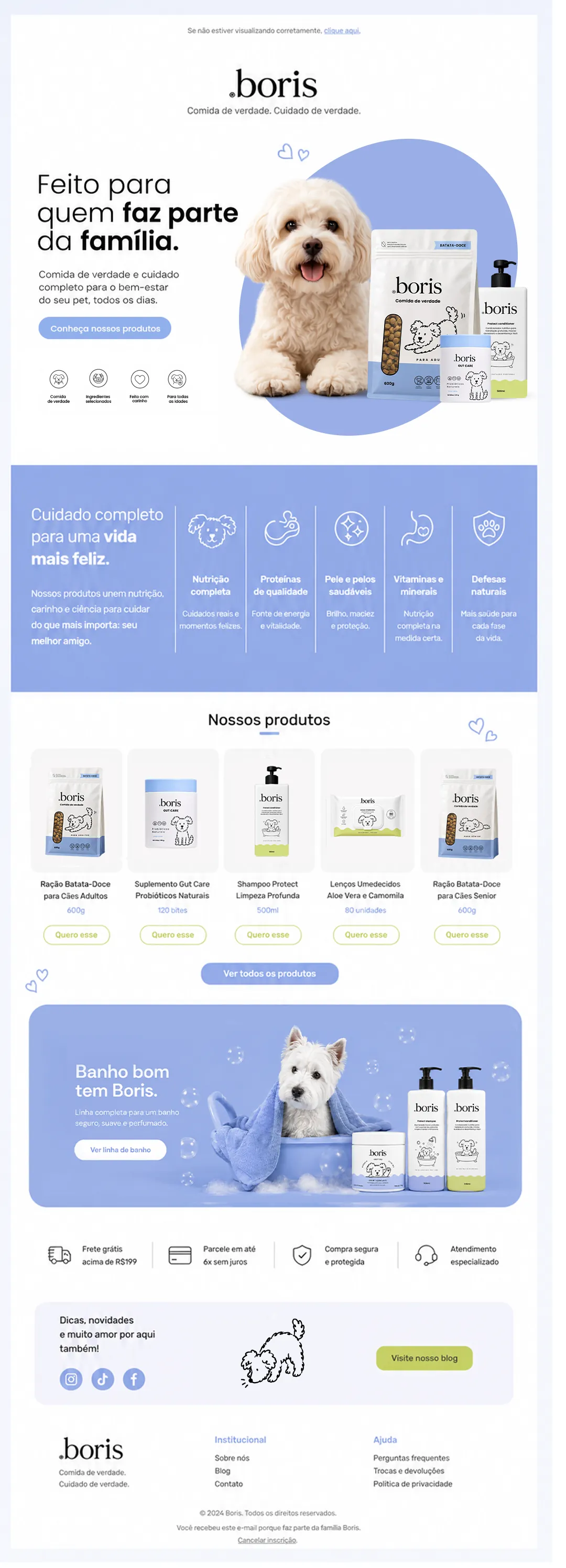 E-mail marketing completo da Boris