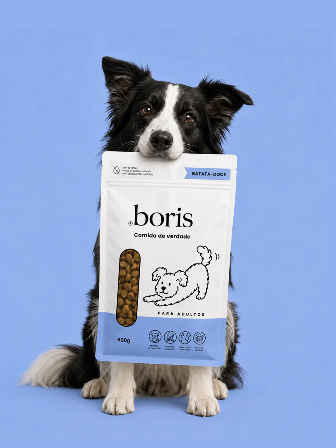 Cachorro com embalagem Boris — capa de Direção de Arte e Campanha