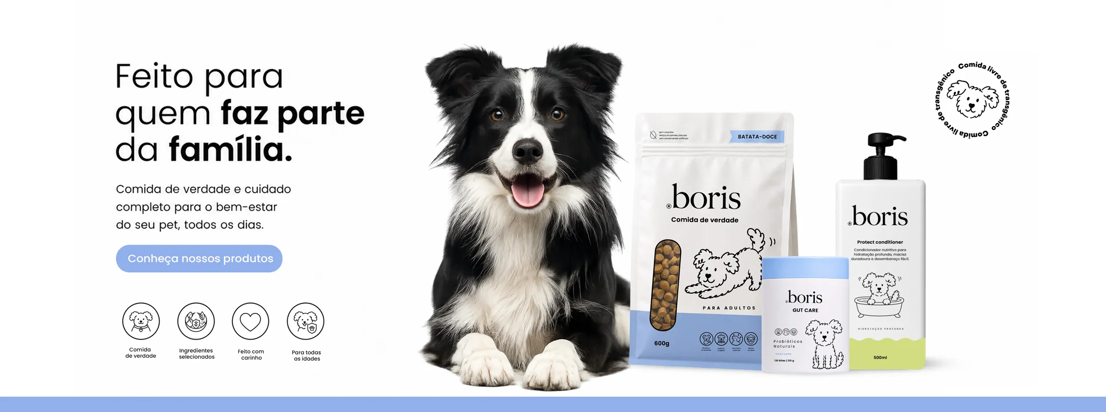 Banner principal da campanha Boris